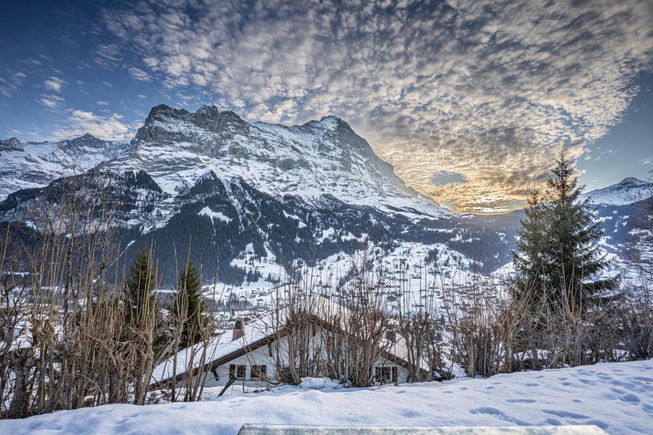 Chalet Weid - Aare Jungfrau Ag Grindelwald Kültér fotó