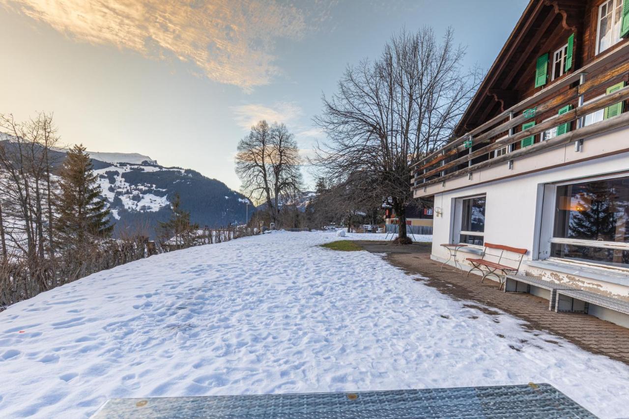 Chalet Weid - Aare Jungfrau Ag Grindelwald Kültér fotó