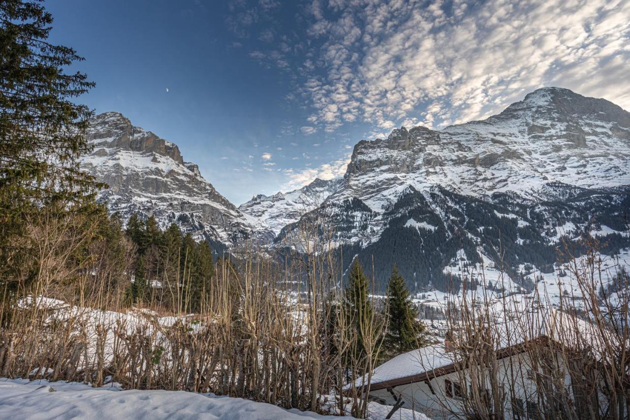 Chalet Weid - Aare Jungfrau Ag Grindelwald Kültér fotó